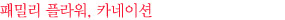 패밀리 플라워, 카네이션