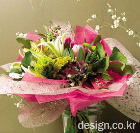 photo01