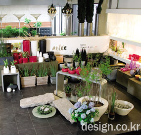 photo01