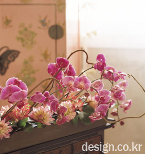 photo01
