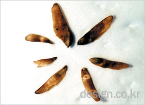 photo01
