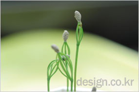 photo01