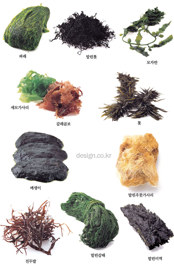 photo01