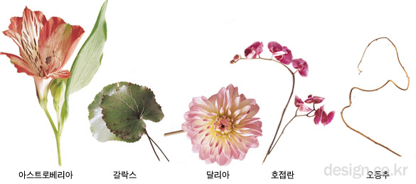 photo01